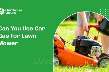 Can-You-Use-Car-Gas-for-Lawn-Mower