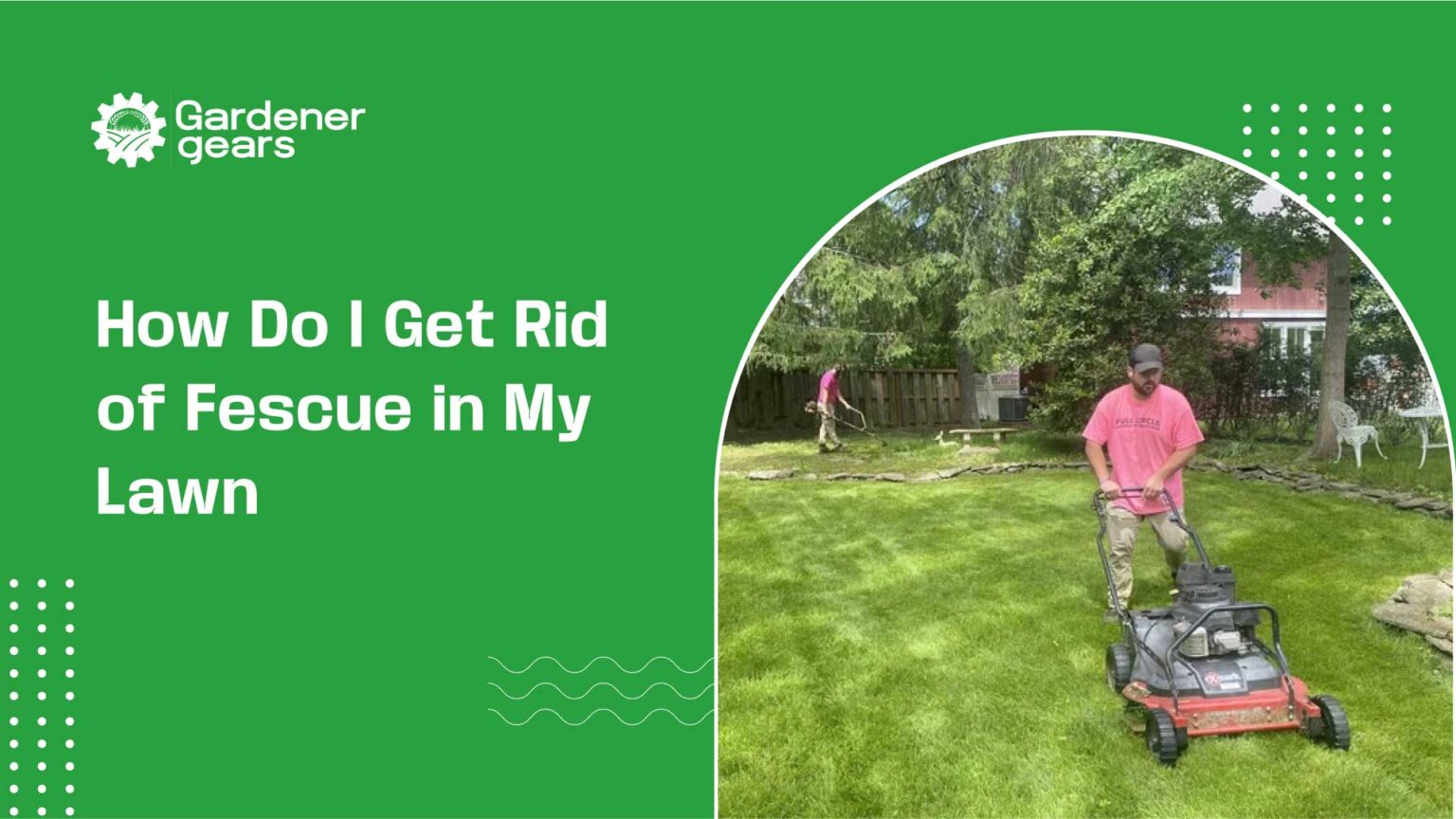 How-Do-I-Get-Rid-of-Fescue-in-My-Lawn