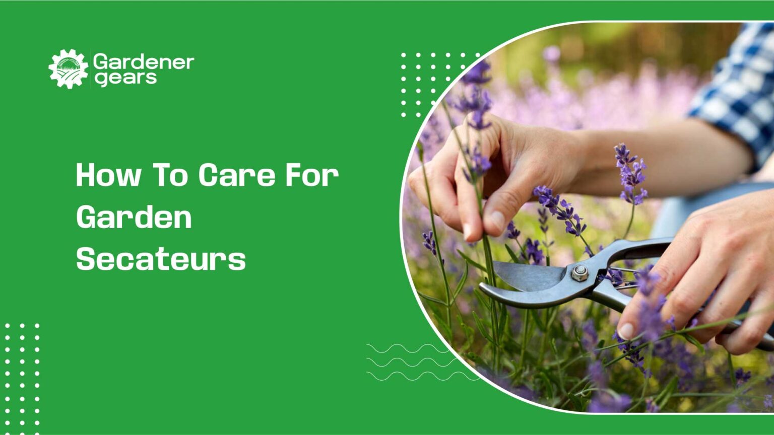 How to Care for Garden Secateurs