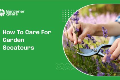 How to Care for Garden Secateurs