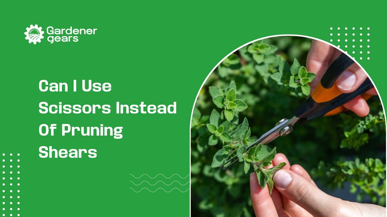 Can I Use Scissors Instead of Pruning Shears