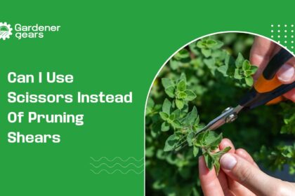 Can I Use Scissors Instead of Pruning Shears