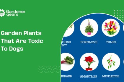 garden plants that are toxic to dogs