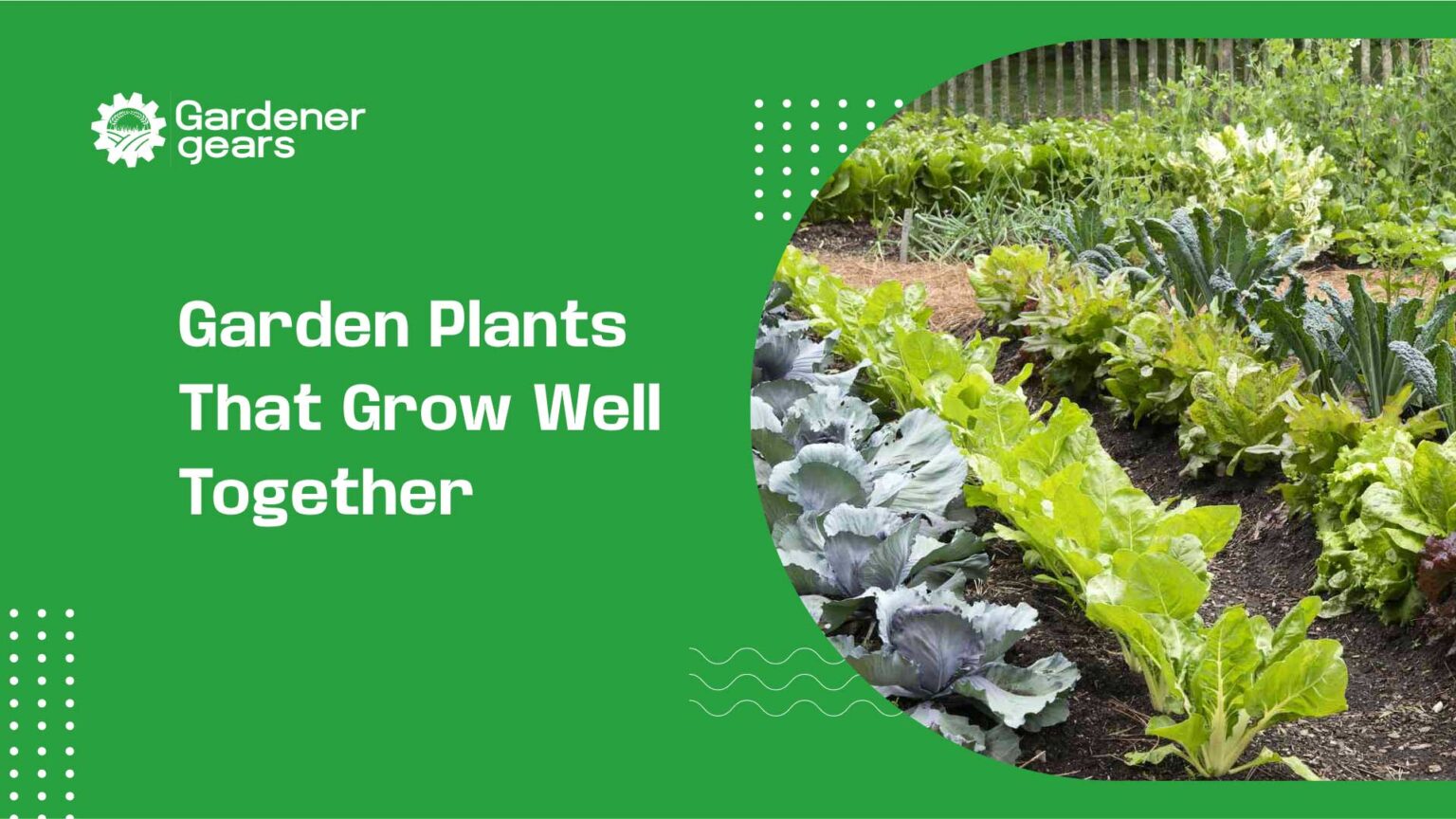 garden plants that grow well together