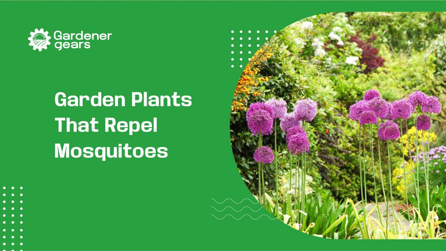 garden plants that repel mosquitoes