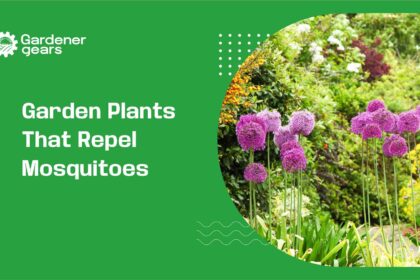 garden plants that repel mosquitoes