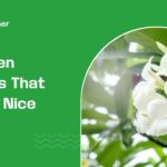 garden plants that smell nice