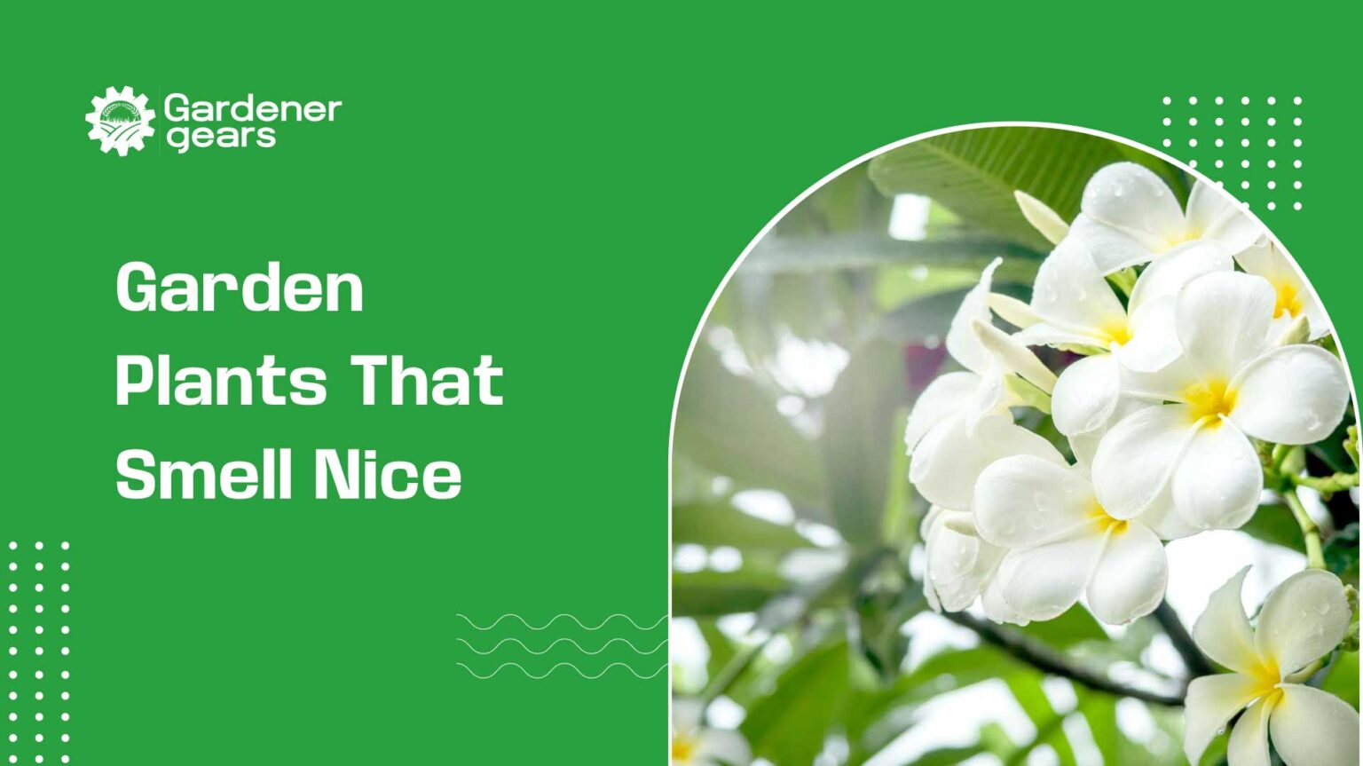 garden plants that smell nice