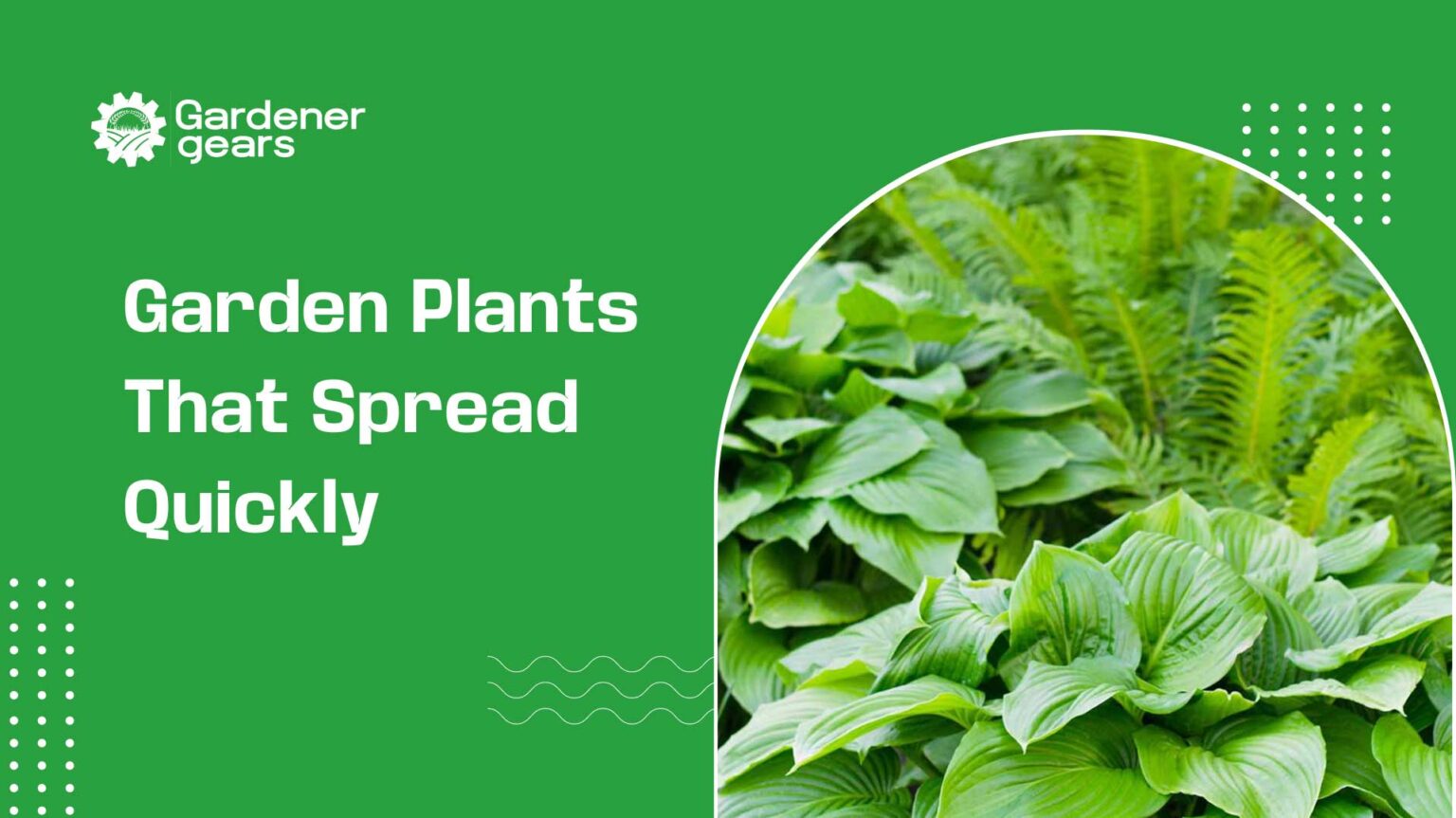 garden plants that spread quickly