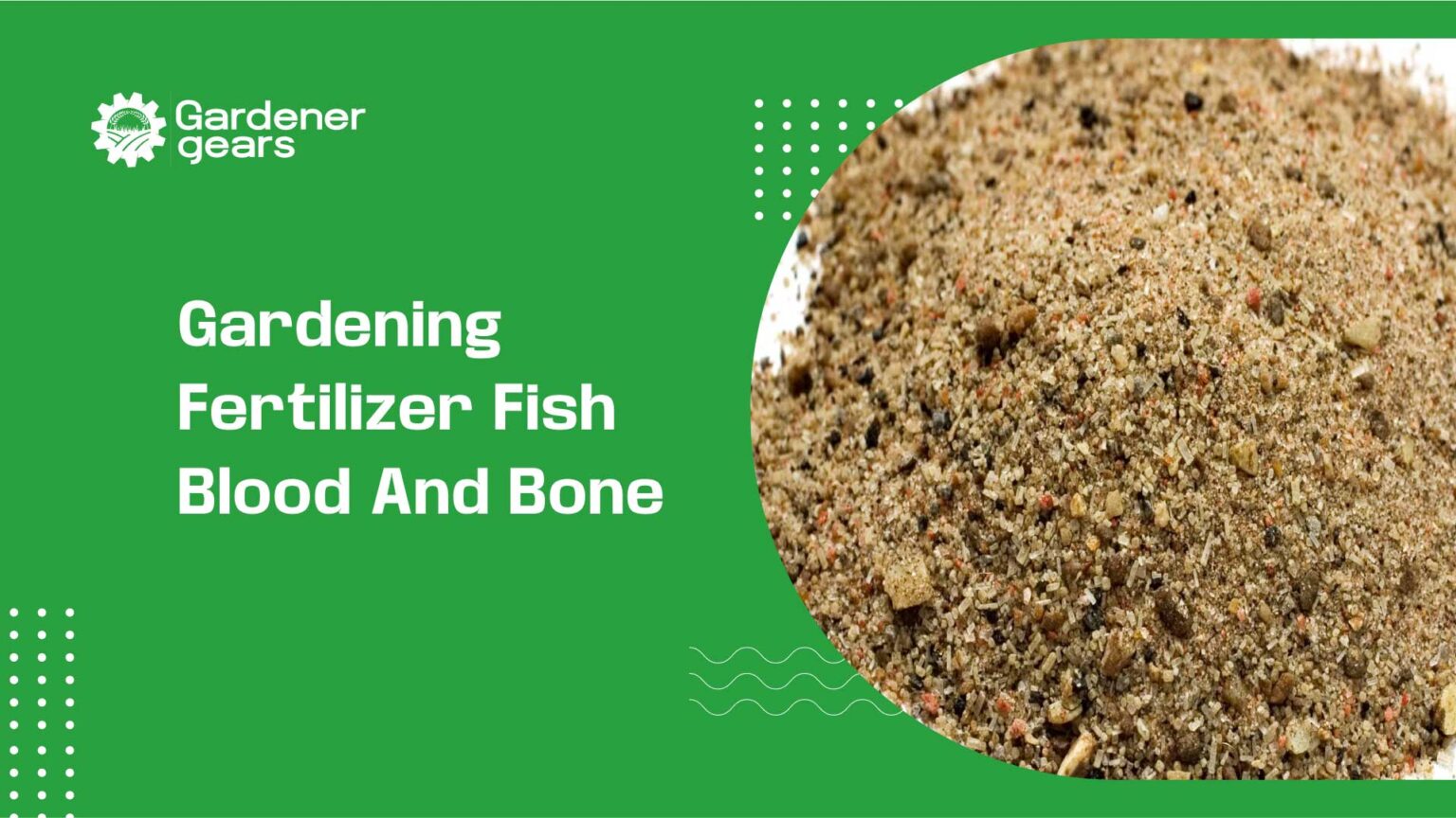 gardening fertilizer fish blood and bone