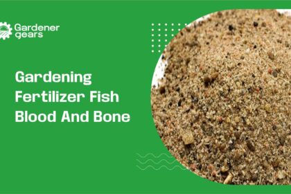 gardening fertilizer fish blood and bone