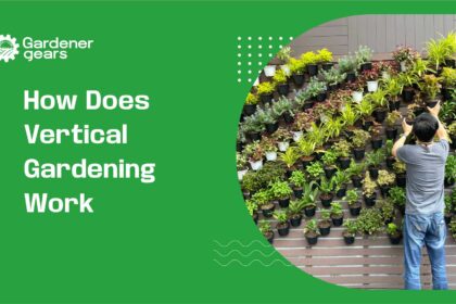 how does vertical gardening work