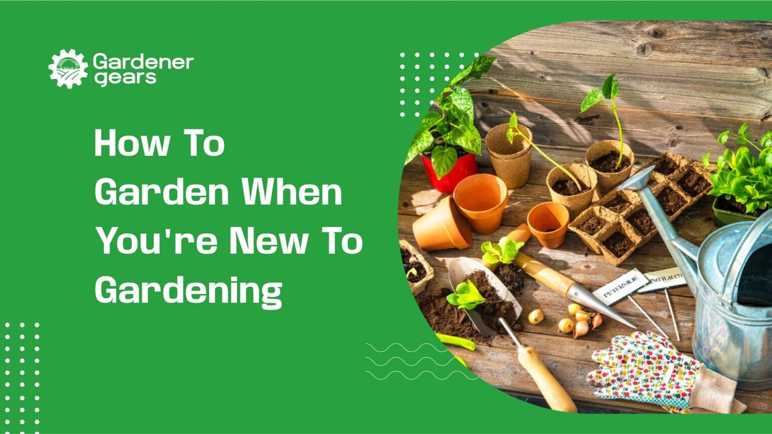 how to garden when you're new to gardening