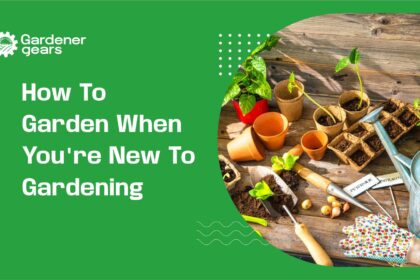 how to garden when you're new to gardening