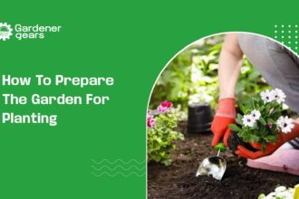 how to prepare the garden for planting