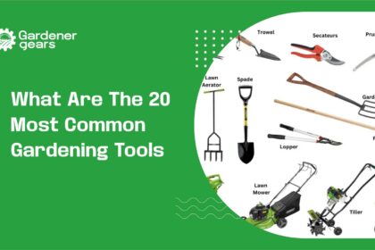 What Are the 20 Most Common Gardening Tools