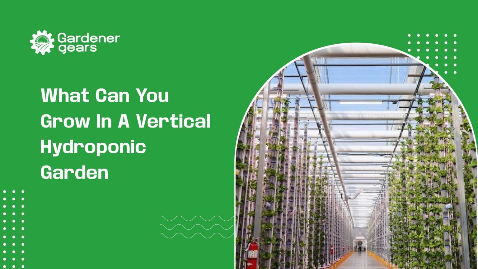 what can you grow in a vertical hydroponic garden