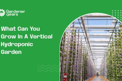 what can you grow in a vertical hydroponic garden