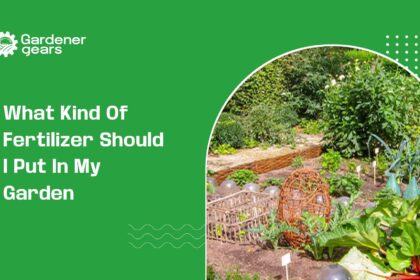 what kind of fertilizer should i put in my garden