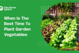 when is the best time to plant garden vegetables