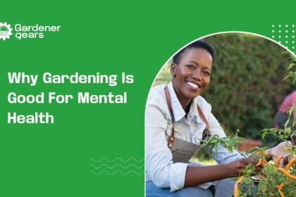 Why Gardening Is Good for Mental Health